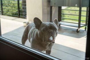 Single Family Residence,  Lakebriar place, Santa Rosa, CA 95403 - 22