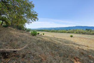 Residential Acreage,  Lomita avenue, Sonoma, CA 95476 - 12