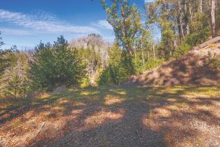 Residential Acreage,  St Helena road, Santa Rosa, CA 95404 - 3