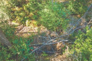 Residential Acreage,  St Helena road, Santa Rosa, CA 95404 - 17