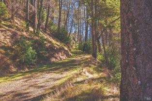 Residential Acreage,  St Helena road, Santa Rosa, CA 95404 - 5