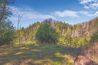 Residential Acreage,  St Helena road, Santa Rosa, CA 95404 - 24