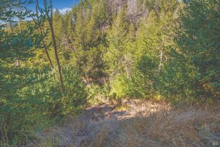 Residential Acreage,  St Helena road, Santa Rosa, CA 95404 - 14