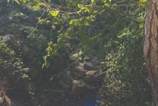 Residential Acreage,  St Helena road, Santa Rosa, CA 95404 - 23