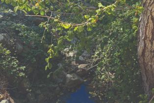 Residential Acreage,  St Helena road, Santa Rosa, CA 95404 - 22