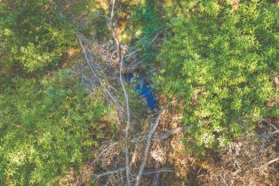 Residential Acreage,  St Helena road, Santa Rosa, CA 95404 - 16