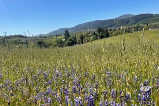 Residential Lot,  Los Alamos road, Santa Rosa, CA 95409 - 8