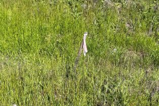 Residential Lot,  Los Alamos road, Santa Rosa, CA 95409 - 9