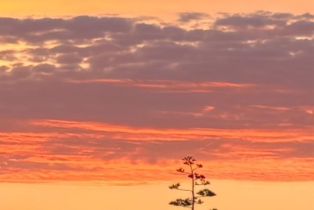 Residential Lot,  Rimrock drive, Napa, CA 94558 - 2