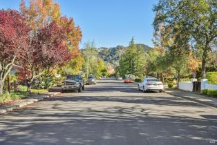 Single Family Residence,  Michael way, Calistoga, CA 94515 - 3