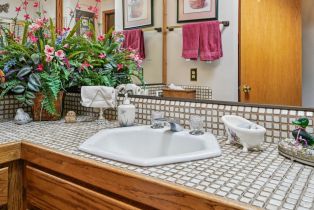 Single Family Residence,  Michael way, Calistoga, CA 94515 - 34