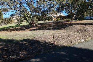 Residential Lot,  Cooper drive, Santa Rosa, CA 95404 - 15