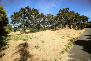 Land, 1960 Cooper Dr, Santa Rosa, CA  Santa Rosa, CA 95404