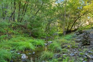 Single Family Residence,  Dry Creek road, Napa, CA 94558 - 34