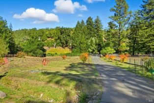 Single Family Residence,  Dry Creek road, Napa, CA 94558 - 60