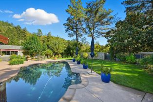 Single Family Residence,  Dry Creek road, Napa, CA 94558 - 39