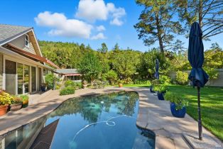 Single Family Residence,  Dry Creek road, Napa, CA 94558 - 40