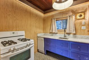 Single Family Residence,  Eagle Nest lane, Russian River, CA 95446 - 5