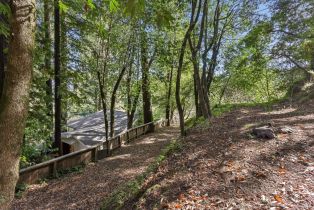 Single Family Residence,  Eagle Nest lane, Russian River, CA 95446 - 44