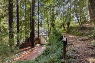 Single Family Residence,  Eagle Nest lane, Russian River, CA 95446 - 43