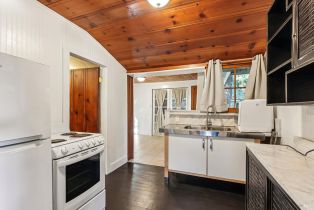 Single Family Residence,  Eagle Nest lane, Russian River, CA 95446 - 20
