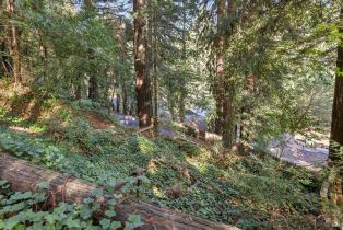 Single Family Residence,  Eagle Nest lane, Russian River, CA 95446 - 45