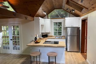 Single Family Residence,  Canyon 1 road, Russian River, CA 95446 - 4