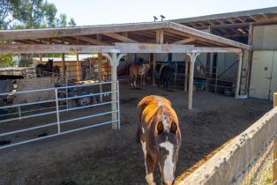 Single Family Residence,  Ormsby lane, Petaluma, CA 94954 - 32