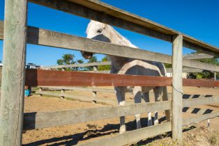 Single Family Residence,  Ormsby lane, Petaluma, CA 94954 - 40
