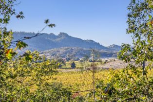 Single Family Residence,  Sonoma Mountain road, Santa Rosa, CA 95404 - 57