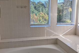 Single Family Residence,  Shoreline drive, Napa, CA 94558 - 11