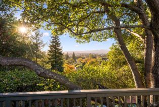 Single Family Residence, Meek avenue, Napa, CA 94559 - 56