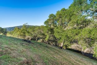 Residential Lot, 1391 Steele Canyon road, Napa, CA 94558 - 28
