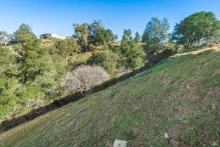 Residential Lot, 1391 Steele Canyon road, Napa, CA 94558 - 29
