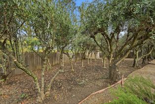 Single Family Residence,  Michael way, Calistoga, CA 94515 - 25