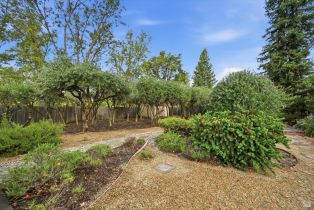Single Family Residence,  Michael way, Calistoga, CA 94515 - 27