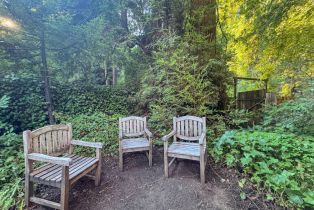 Single Family Residence,  Cazadero highway, Russian River, CA 95421 - 31