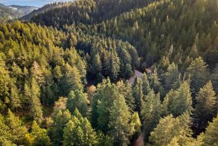 Single Family Residence,  Cazadero highway, Russian River, CA 95421 - 43
