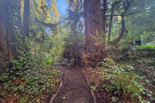 Single Family Residence,  Cazadero highway, Russian River, CA 95421 - 29