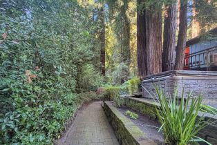 Single Family Residence,  Cazadero highway, Russian River, CA 95421 - 24