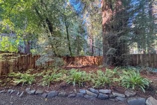 Single Family Residence,  Cazadero highway, Russian River, CA 95421 - 32