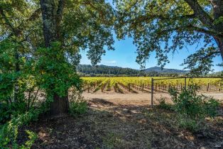 Single Family Residence,  Bale lane, Calistoga, CA 94515 - 55