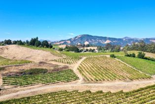 Single Family Residence,  Grange road, Santa Rosa, CA 95404 - 34