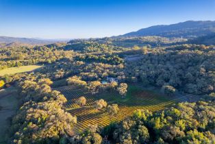 Single Family Residence, Warm Springs road, Glen Ellen, CA 95442 - 3