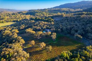 Single Family Residence, Warm Springs road, Glen Ellen, CA 95442 - 2