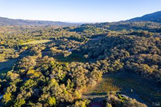Single Family Residence, Warm Springs road, Glen Ellen, CA 95442 - 35