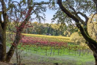 Single Family Residence, Warm Springs road, Glen Ellen, CA 95442 - 33