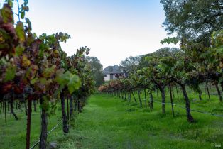 Single Family Residence, Warm Springs road, Glen Ellen, CA 95442 - 34