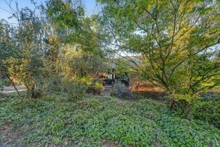 Single Family Residence,  Old King road, Petaluma, CA 94952 - 55