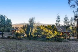 Single Family Residence,  Old King road, Petaluma, CA 94952 - 52